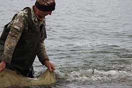 В Пензенское водохранилище выпустили молодь толстолобика и сазана В Пензенское водохранилище выпустили молодь толстолобика и сазана