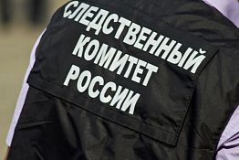 Пропавшую с тремя детьми жительницу Спасска нашли в Марий Эл
