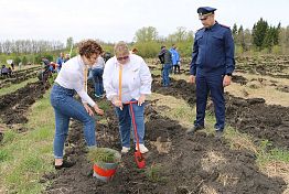 Пензенцев приглашают поучаствовать в акции «Сохраним лес»