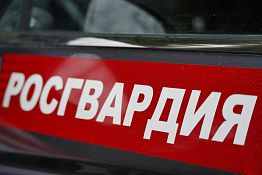 В Пензе двое парней устроили дебош в торговом центре