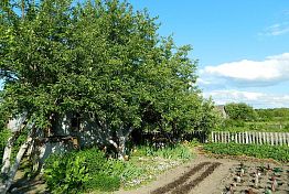 Дачный сезон в Пензе 2026: расписание автобусов, маршруты