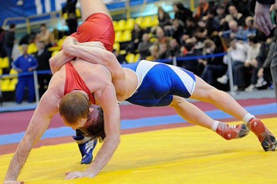 Кузнецкие борцы завоевали четыре медали на Первенстве ПФО