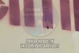 Пензенцы сняли на видео таракана в школьной столовой