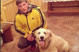 Павел Воля пристроил найденного на улице пса в добрые руки