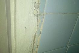 В Пензенской области беременной сироте предоставили жилье с сюрпризом В Пензенской области беременной сироте предоставили жилье с сюрпризом