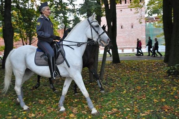 В Пензенской области планируют увеличить штат конной полиции