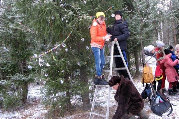 Школьники из Белинского района украсили новогоднюю елку прямо в лесу