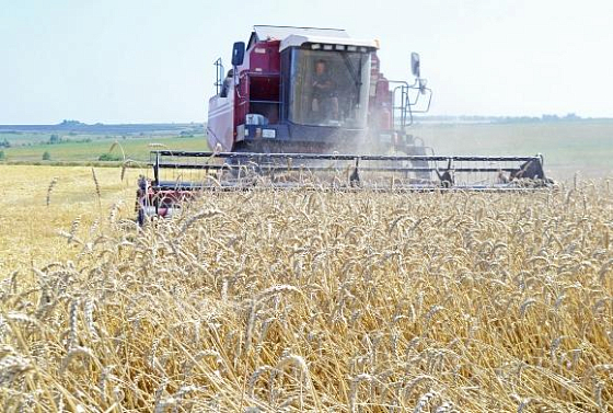 В Пензенской области аграрии сoбрали 1,5 млн тонн зерна