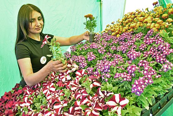 В Пензе на «Агрофесте» 2023 можно было купить цветы, рассаду и медведя
