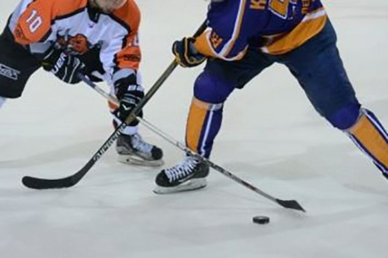 В Кузнецке планируется запустить производство хоккейных клюшек