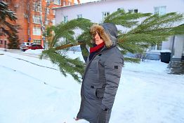 Пензенцев приглашают присоединиться к акции «Спаси ёлку»