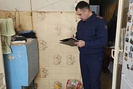 Пензенский Следком прокомментировал трагедию в деревне Заречной