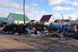 В Нижнем Ломове убрали свалку после вмешательства прокуратуры