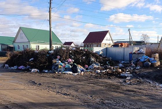 В Нижнем Ломове убрали свалку после вмешательства прокуратуры