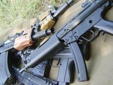Кинологи из Пензенской области нашли на Северном Кавказе тайник с оружием