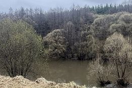 В реке Атмис под Нижним Ломовом найдено тело 40-летнего мужчины