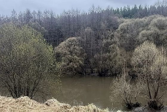 В реке Атмис под Нижним Ломовом найдено тело 40-летнего мужчины