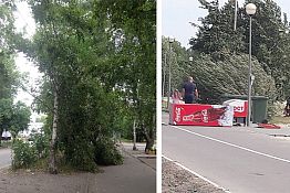 В Пензе на ул. 8 Марта сильный ветер сломал дерево