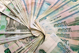 Житель Каменки украл у подруги жены полмиллиона рублей