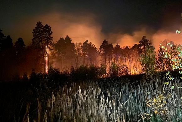 В Пензенской области тушили лесной пожар на площади в 10 га