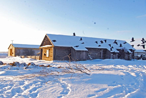 В Пензенской области 15 февраля ожидается небольшой снег