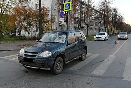 В Заречном автомобиль Chevrolet Niva столкнулся с лосем