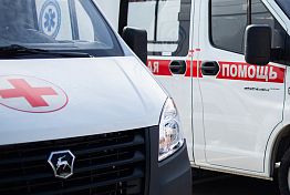В Бессоновском районе погиб водитель «двенадцатой», столкнувшейся с минивэном В Бессоновском районе погиб водитель «двенадцатой», столкнувшейся с минивэном