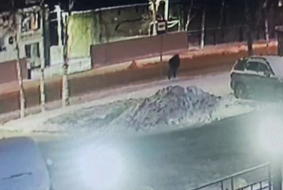 В Пензе задержали подозреваемого в краже 1,5 млн рублей