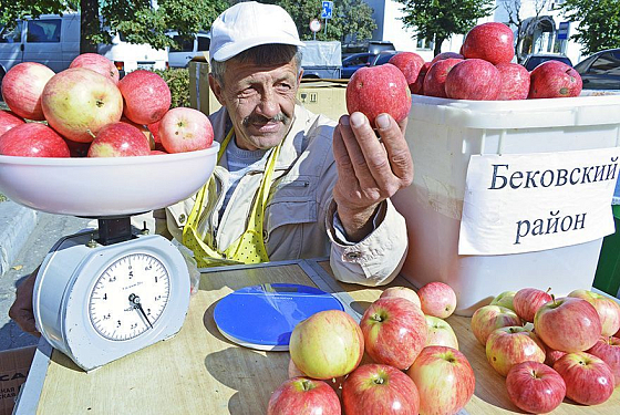 «Яй-я яблоки ела»: что сдерживает развитие садоводства в Пензенской области