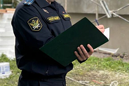 Суд вынес приговор жителю Пачелмы, пытавшемуся надеть на пристава наручники