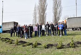 В Пензе продлили месячник по благоустройству