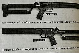 Зареченец попал под суд за продажу модернизированной пневматической винтовки