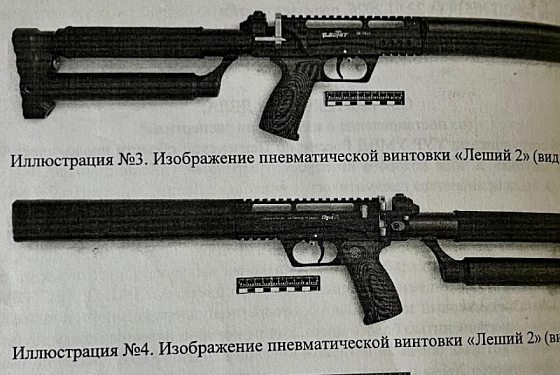 Зареченец попал под суд за продажу модернизированной пневматической винтовки