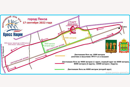 В пензенской мэрии рассказали, как пройдет «Кросс нации - 2022»