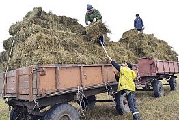 В Пензенской области на развитие с/х кооперативов направлено 90 млн рублей