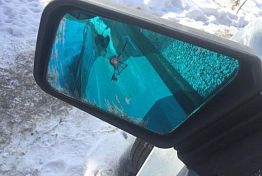 В Пензе в сеть выложили фото обстрелянного авто