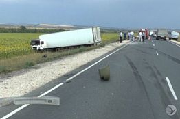 В Пензе по факту ДТП, в котором погибли 6 человек, возбуждено уголовное дело В Пензе по факту ДТП, в котором погибли 6 человек, возбуждено уголовное дело