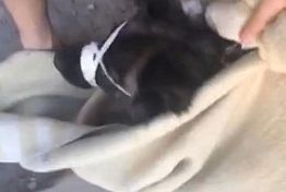 Две недели под землей: В Пензе волонтеры выложили видео спасения собаки