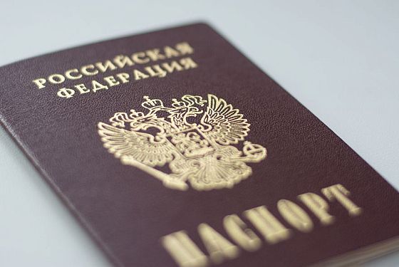 В Пензенской области лишили гражданства РФ 12 уроженцев другого государства