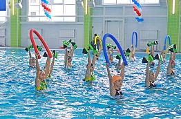 Белозерцев поручил районам перенять опыт работы бассейна в Бессоновке