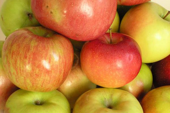 Пензастат: Более 75% фруктов и ягод, которые потребляют пензяки, привозные, как правило — импортные