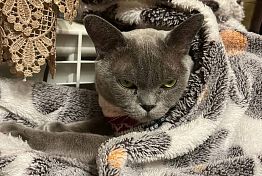 В Арбеково отключили отопление и горячую воду