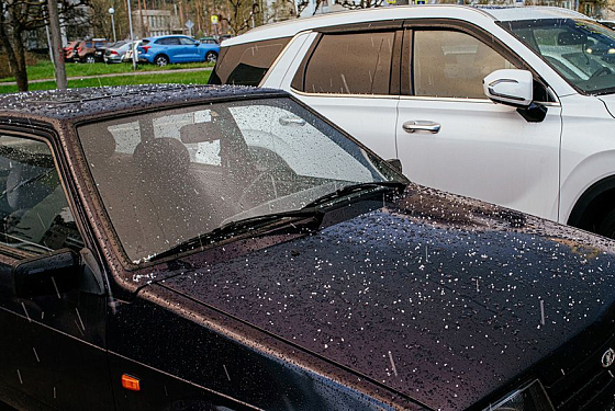 В Пензе ожидаются заморозки 29 апреля