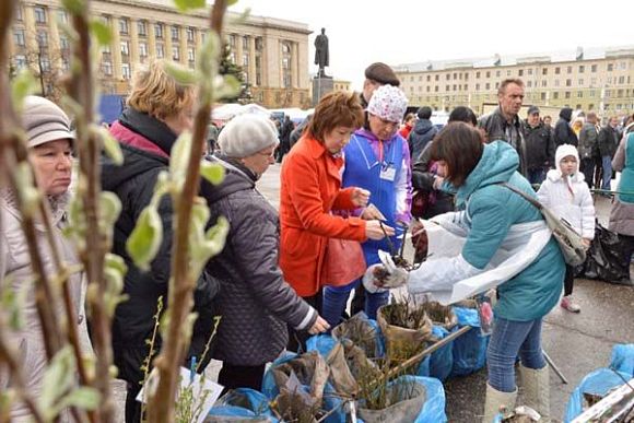 В Пензе на дачной ярмарке за саженцами выстраивались очереди