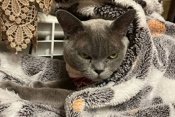 В Арбеково отключили отопление и горячую воду