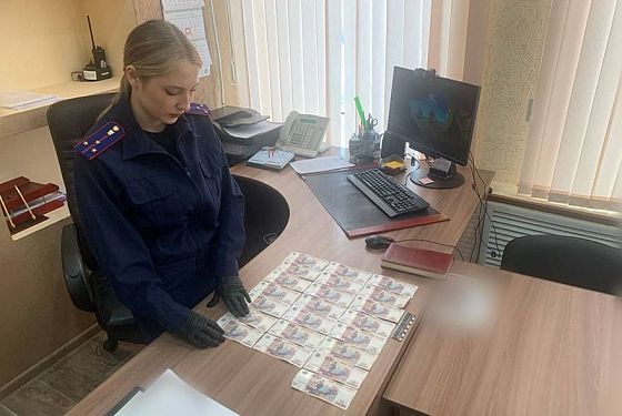 Житель Лунино неудачно пытался подкупить полицейского