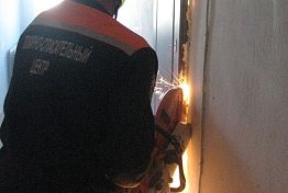 В Пензе спасатели выручили трех девиц «под окном»