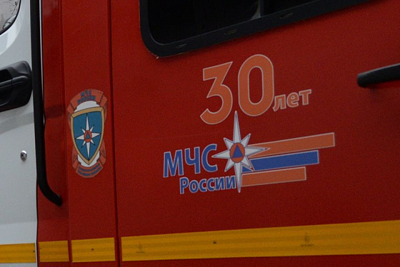 В Шемышейском районе при пожаре погиб мужчина