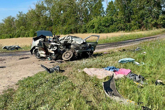 В Госавтоинспекции назвали возраст погибших в ДТП под Пензой детей