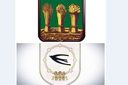 Пензенец просит вернуть городу герб с ласточкой